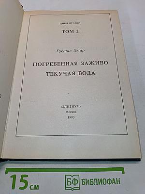 Библиотека приключений. Том 2. Погребенная заживо. Текучая вода