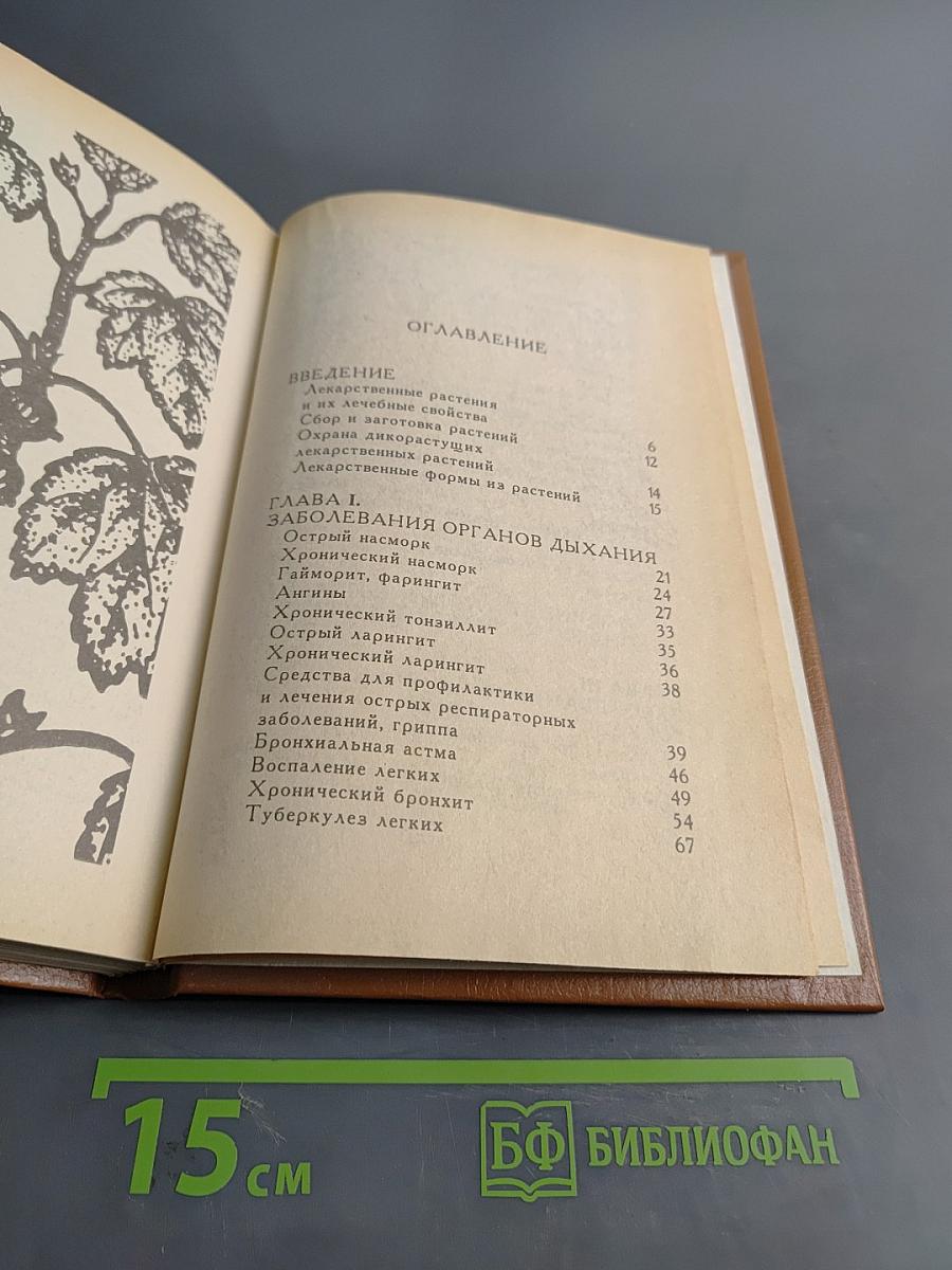 Лекарственные растения в домашней аптеке. Травник