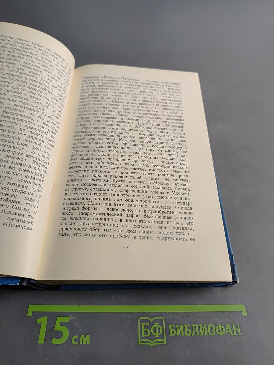 Дневник писателя