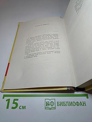 Марицишор