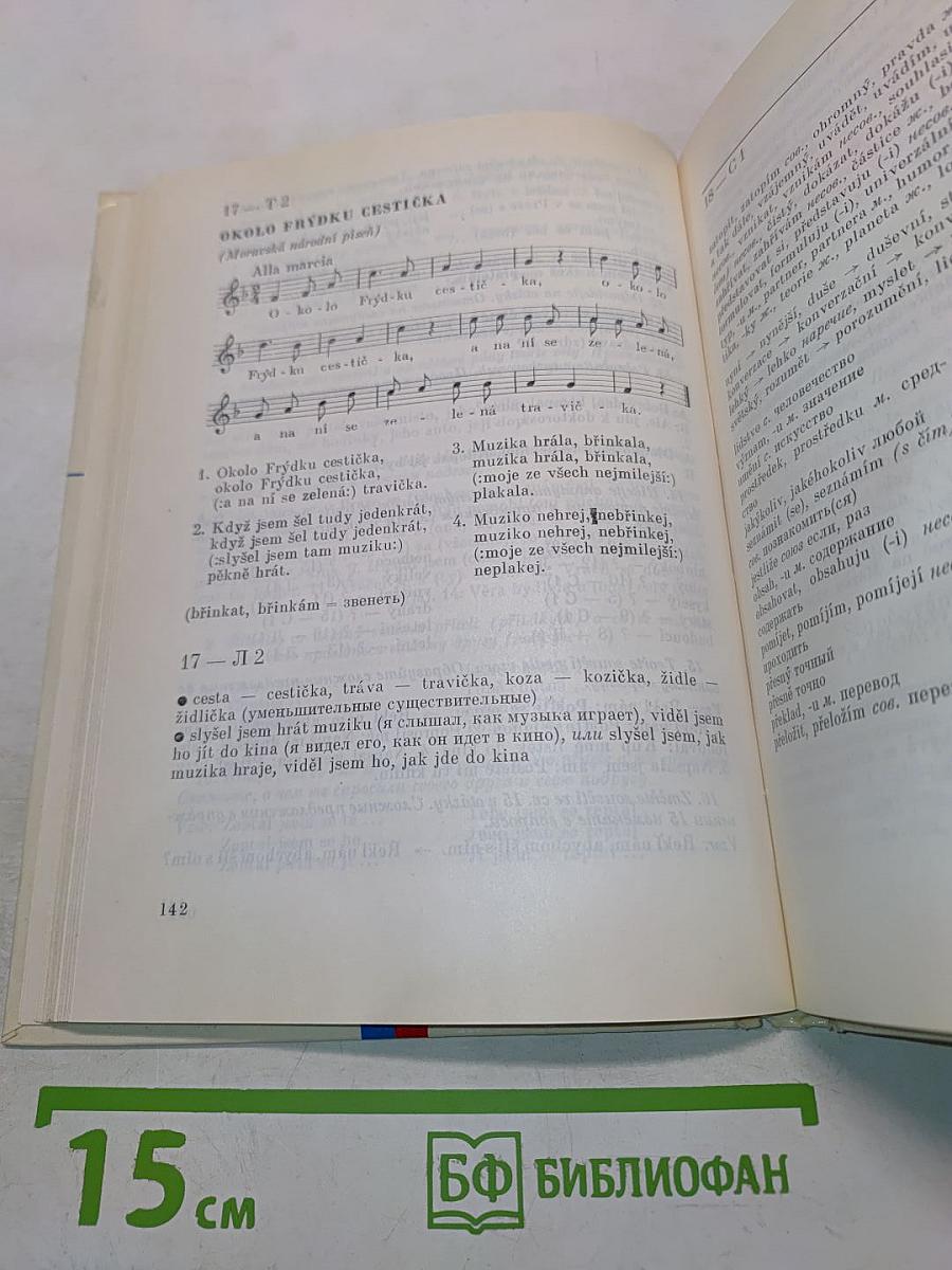 Чешский язык. Учебник для начинающих