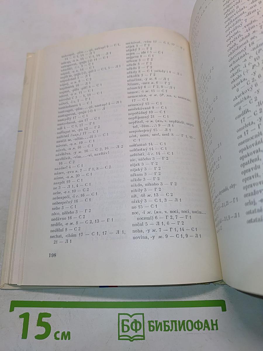 Чешский язык. Учебник для начинающих