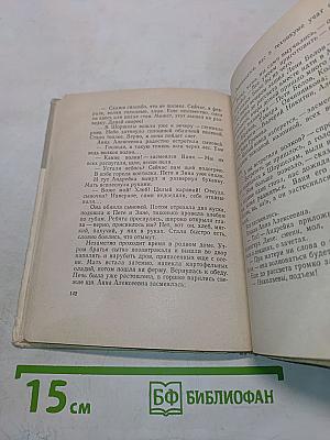 Парень из Шоршела