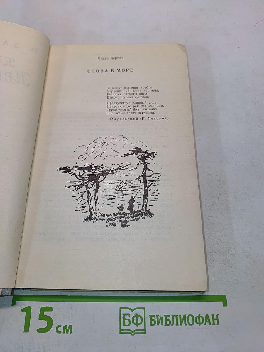 Капитан Невельской. Книга вторая