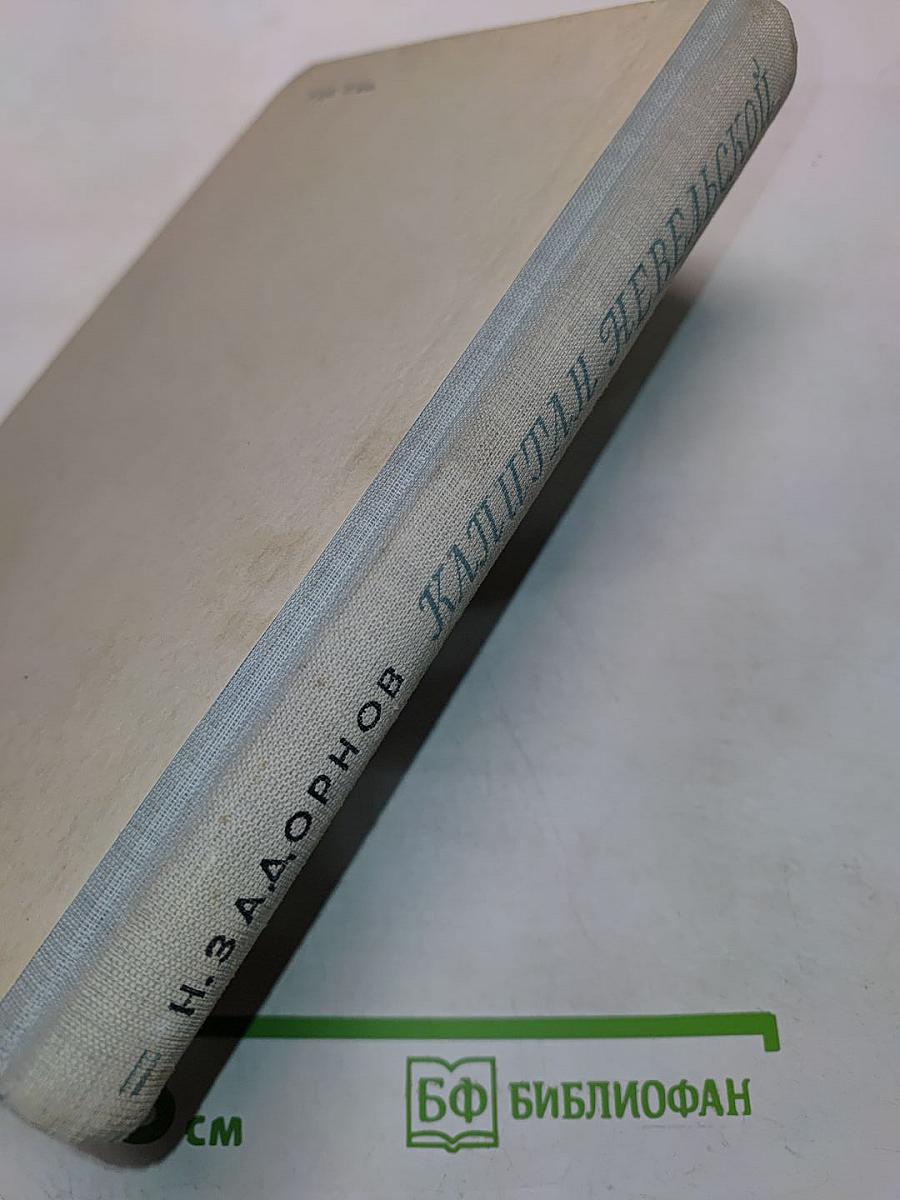 Капитан Невельской. Книга вторая
