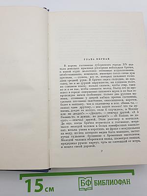 Мертвые души. Том пятый