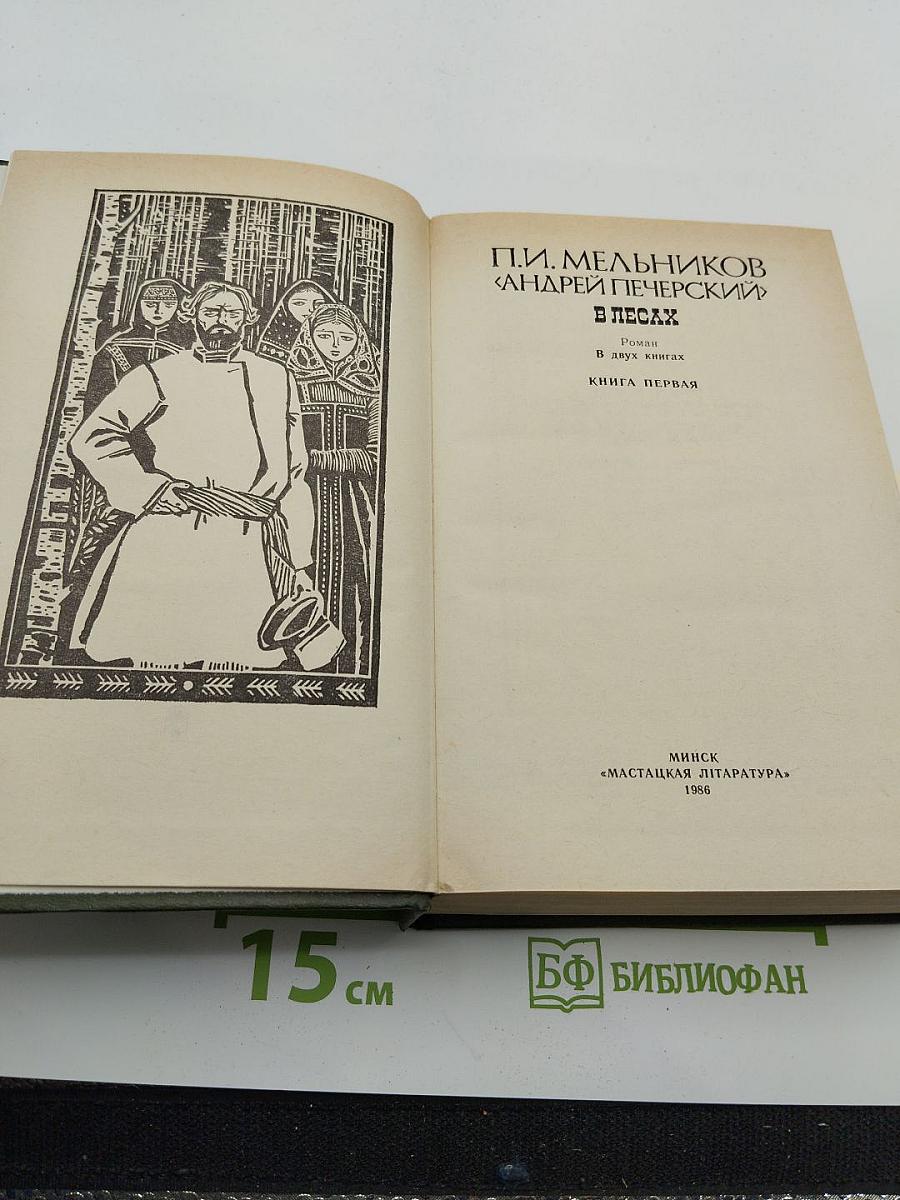 В лесах. Книга первая