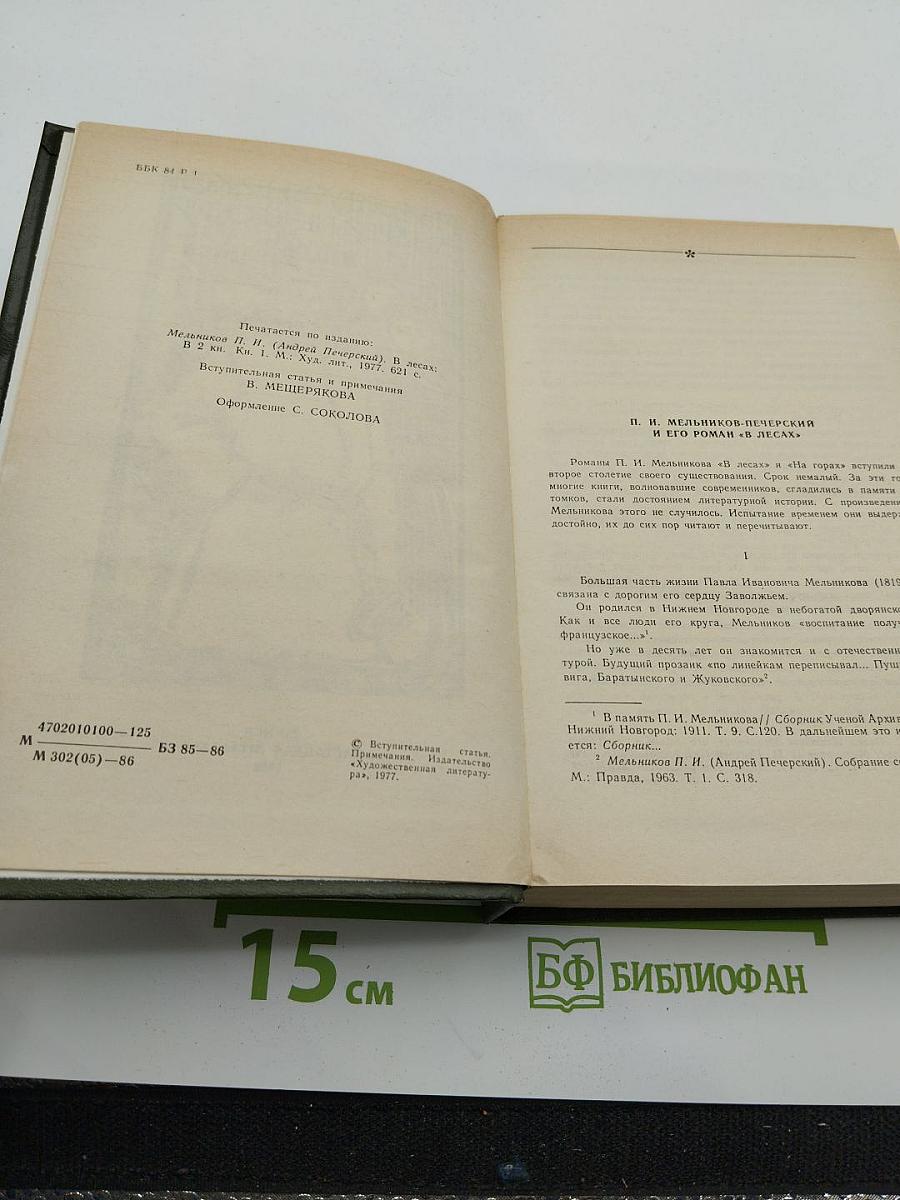 В лесах. Книга первая