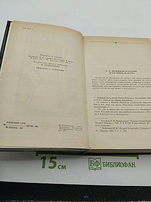 В лесах. Книга первая