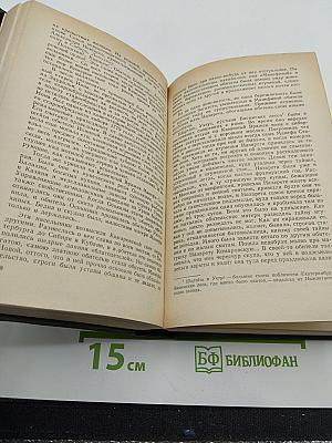 В лесах. Книга первая