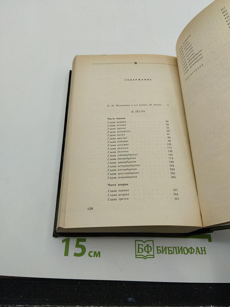 В лесах. Книга первая