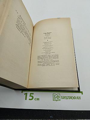 В лесах. Книга первая