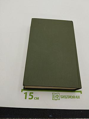 В лесах. Книга первая