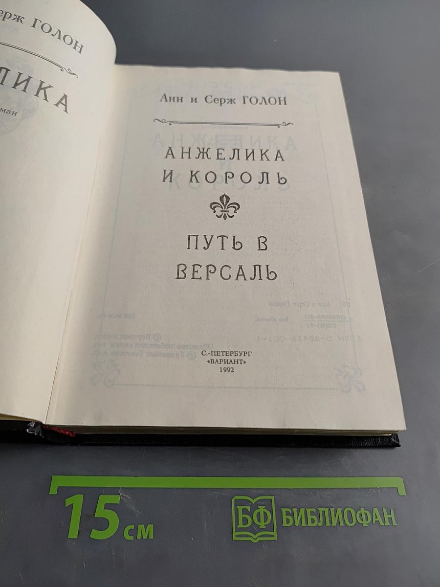 Анжелика и король. Путь в Версаль