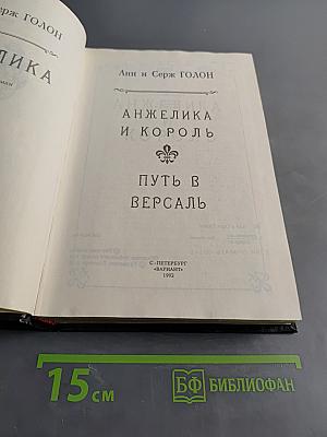 Анжелика и король. Путь в Версаль
