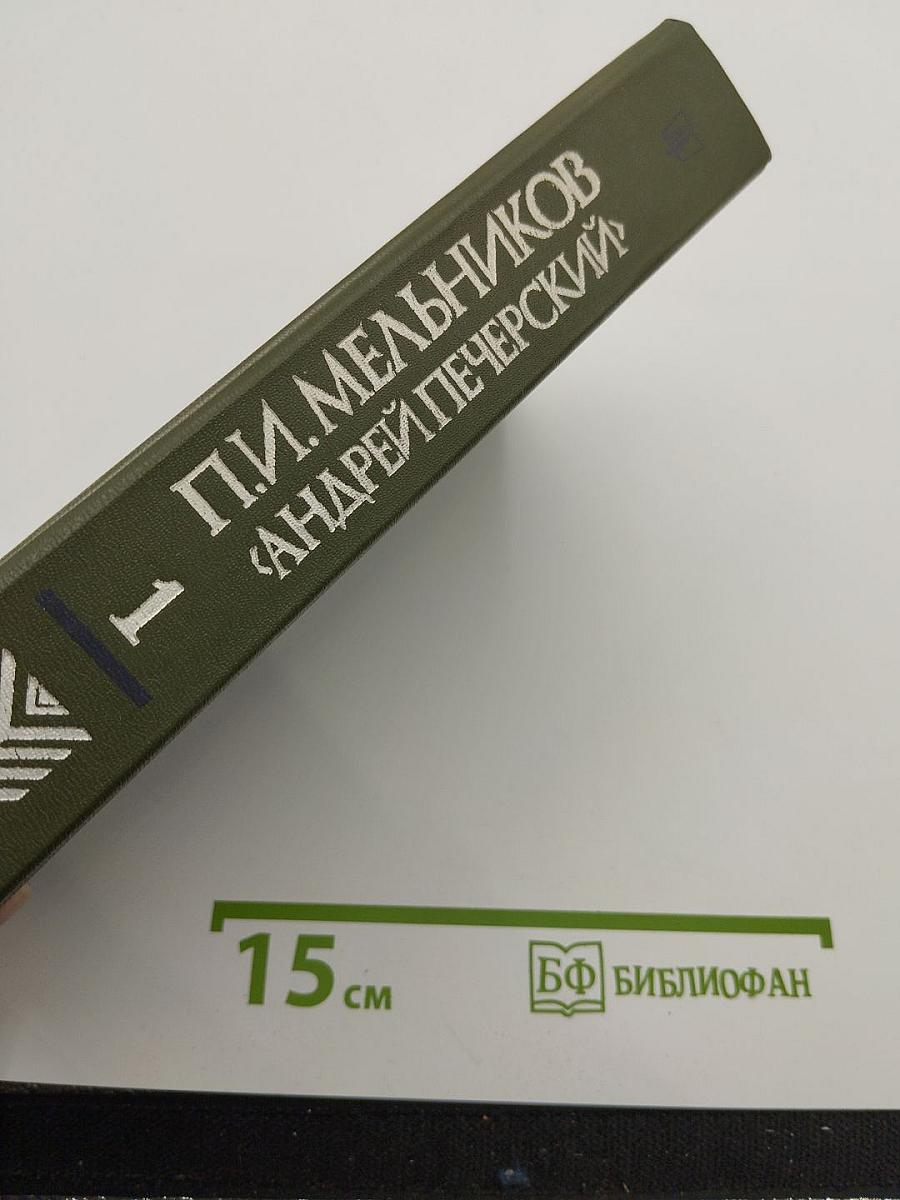 В лесах. Книга первая