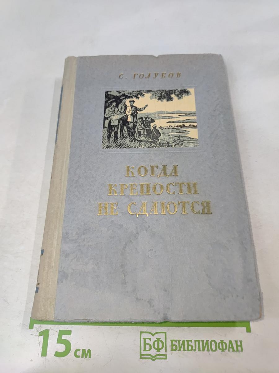 Когда крепости не сдаются. Книга 2