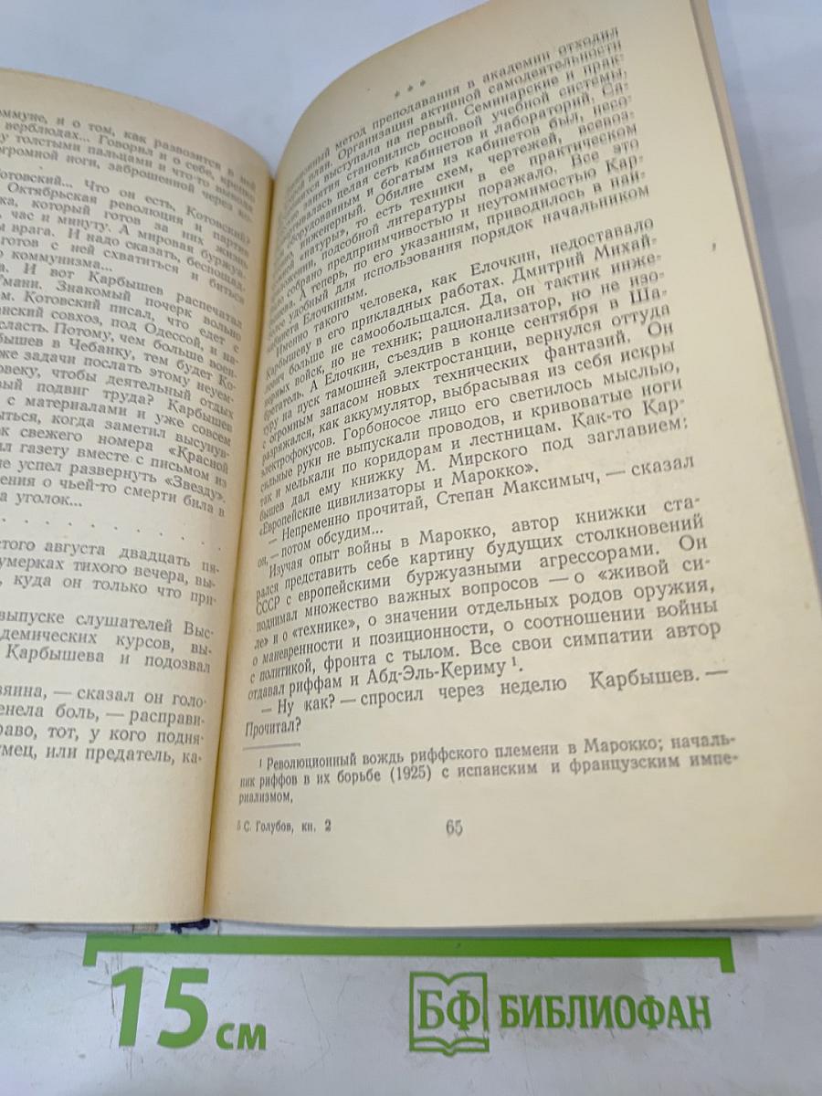 Когда крепости не сдаются. Книга 2