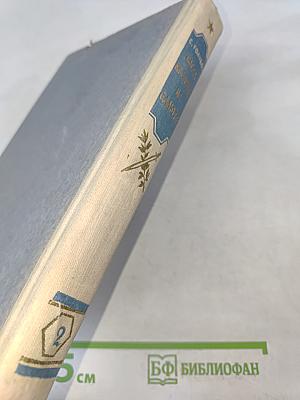 Когда крепости не сдаются. Книга 2