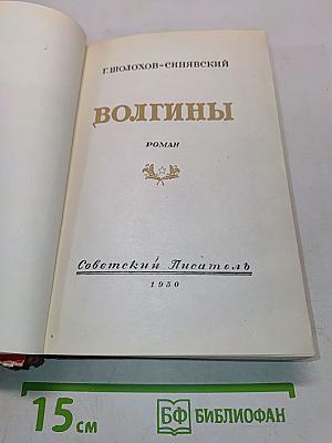 Волгины