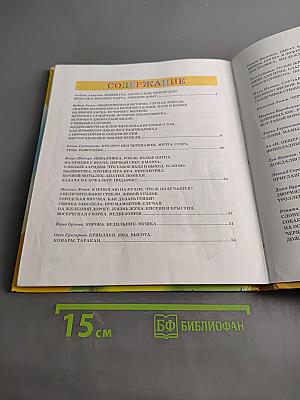 Новые стихи