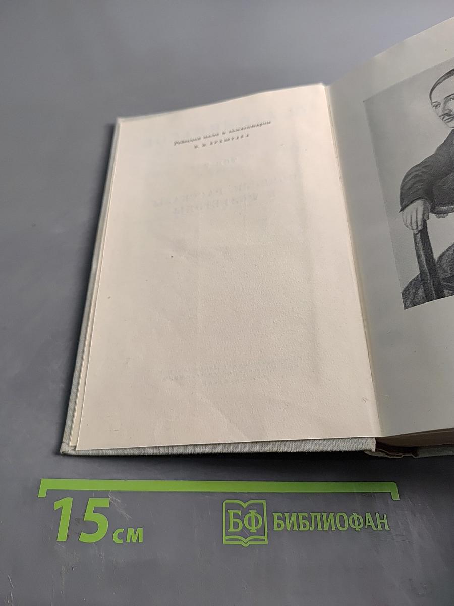 Полное собрание сочинений. Том V. Повести, рассказы и фельетоны