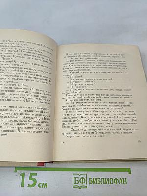 Гранит не плавится. Из записок чекиста
