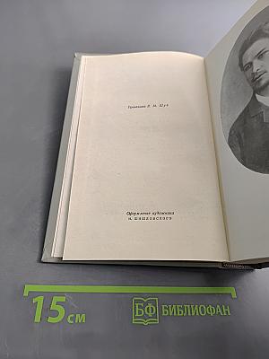 Собрание сочинений. Том третий. Рассказы 1888-1894