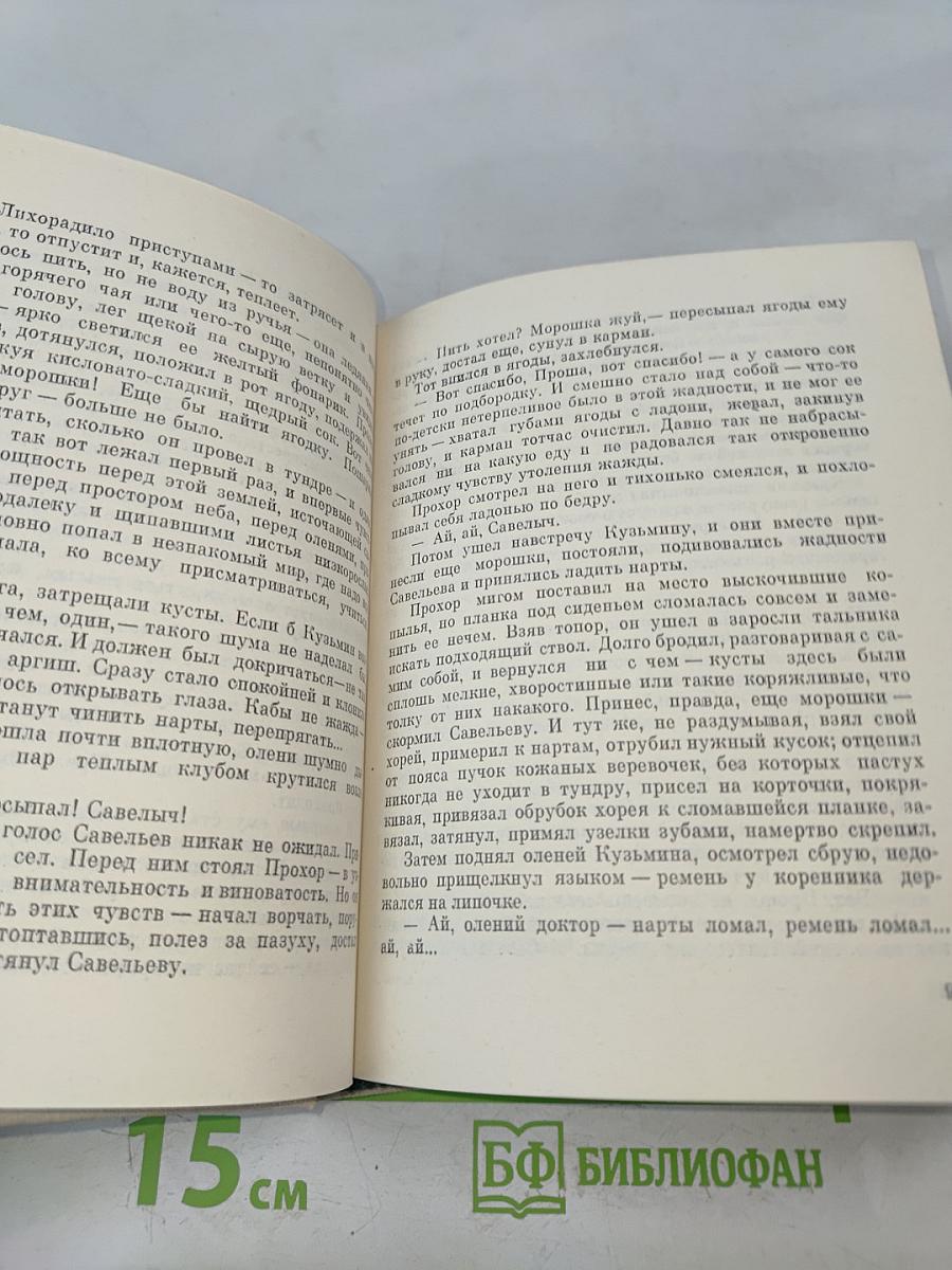 Летний снег по склонам