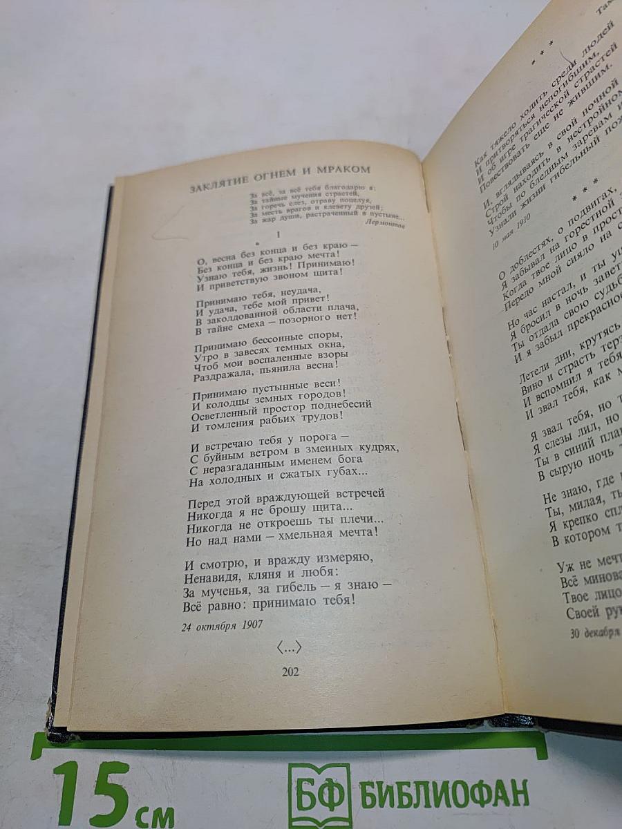 Поэтические течения в русской литературе конца XIX – начала XX века. Хрестоматия