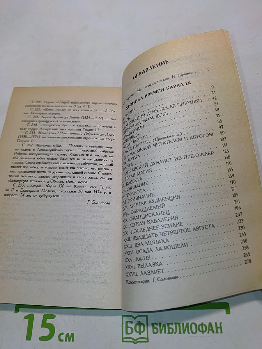 Хроника времен Карла IX