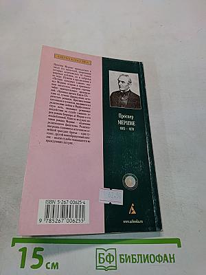 Хроника времен Карла IX