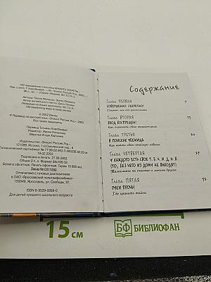Ведьма. 100 чародейских способов хранить секреты