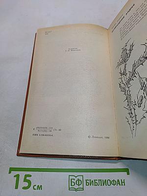 Время любить. Книга третья