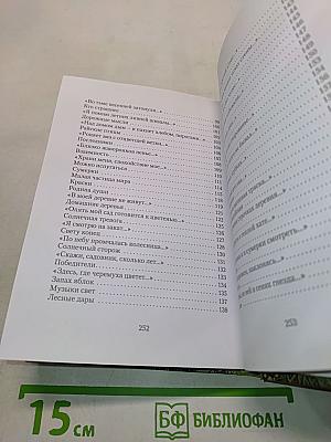 Солнечный сторож