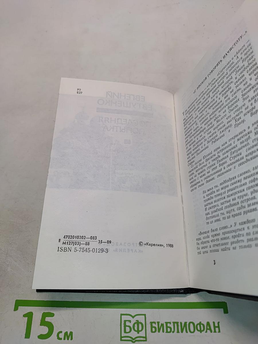 Последняя попытка. Стихотворения. Из старых и новых тетрадей