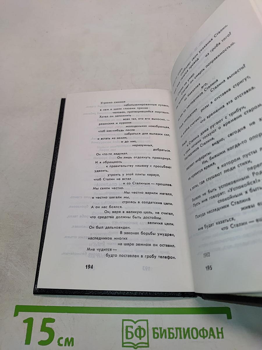 Последняя попытка. Стихотворения. Из старых и новых тетрадей