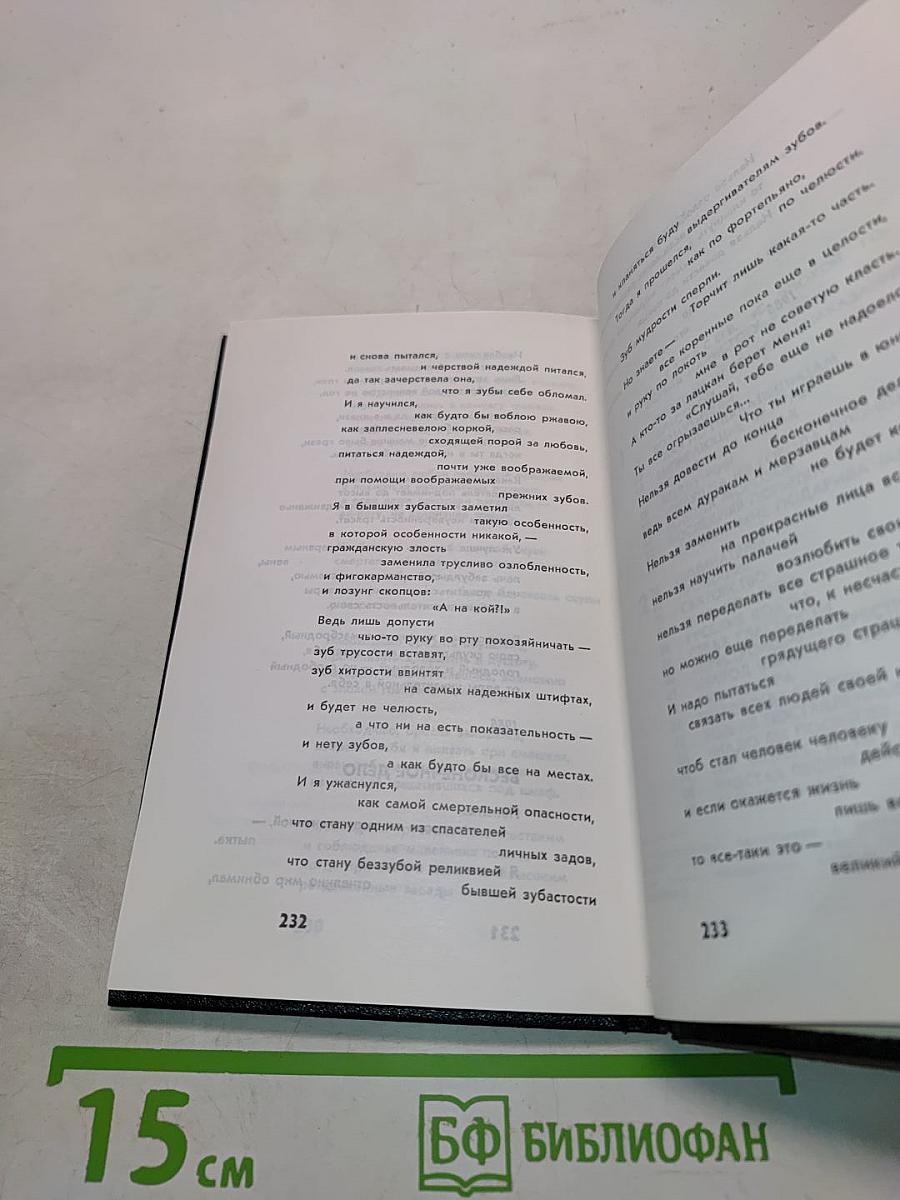 Последняя попытка. Стихотворения. Из старых и новых тетрадей