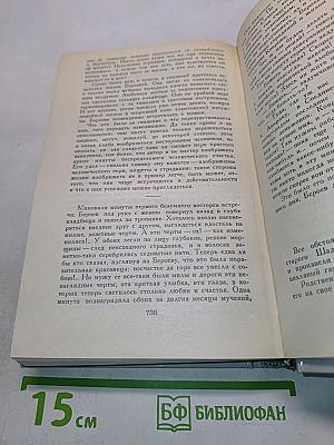 Петербургские трущобы. Книга о быте и голодных
