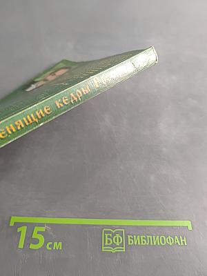 Звенящие кедры России. Вторая книга из серии