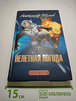 Нелетная погода