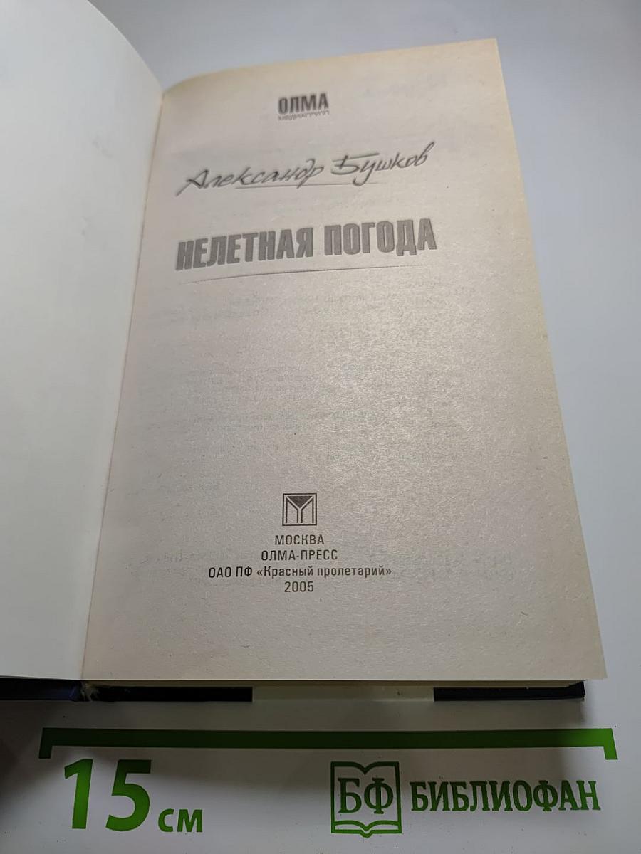 Нелетная погода