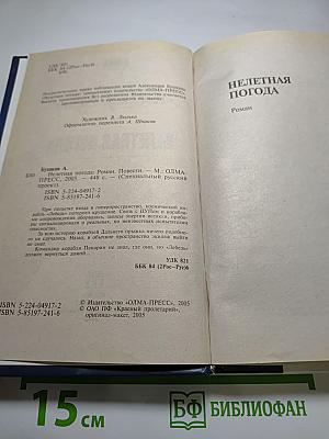 Нелетная погода