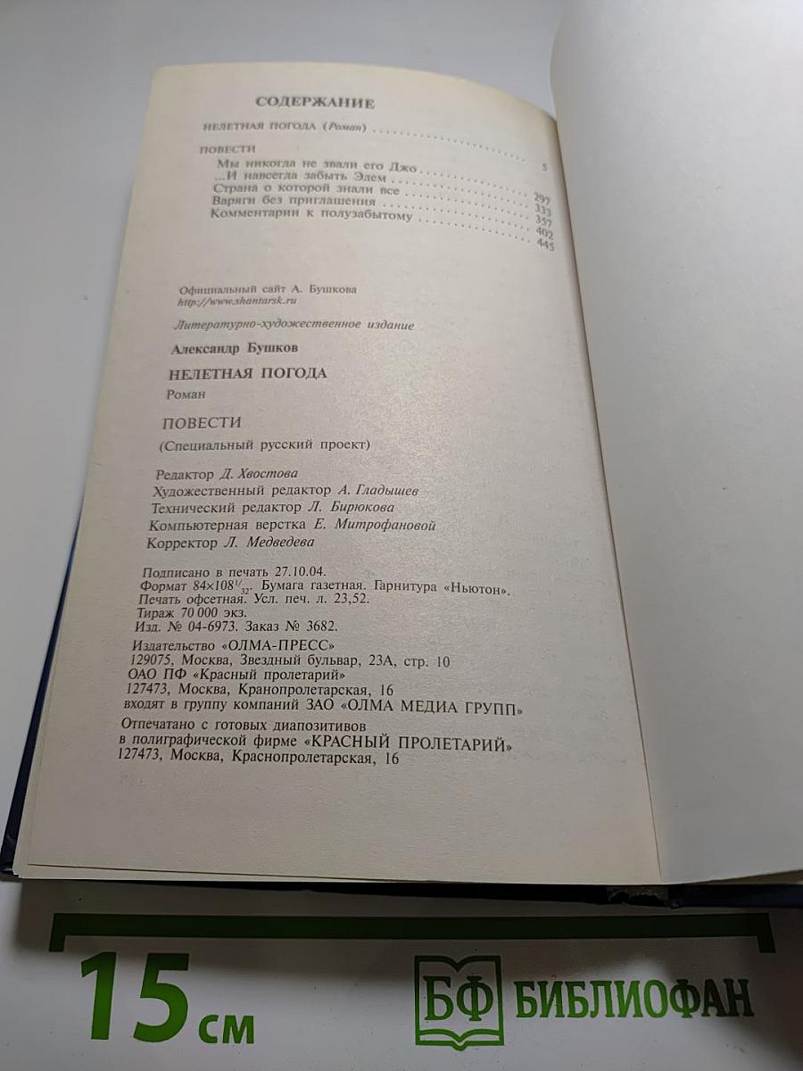 Нелетная погода