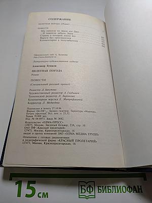 Нелетная погода