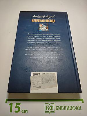 Нелетная погода