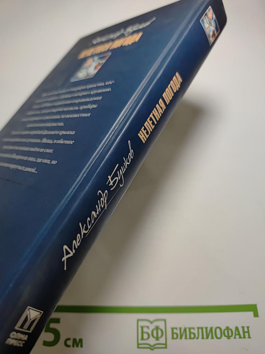 Нелетная погода