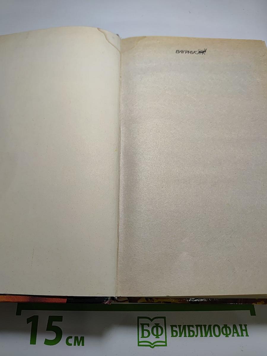 Возвращение Бешеного