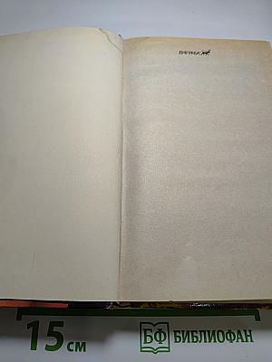 Возвращение Бешеного