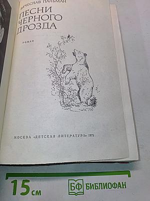 Песни черного дрозда